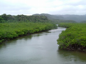 西表島