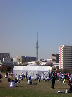 111126_131455.JPG